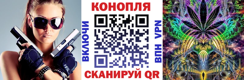 Купить закладку COCAIN Марихуана МЕФ ТГК Гашиш Псилоцибиновые грибы Костомукша