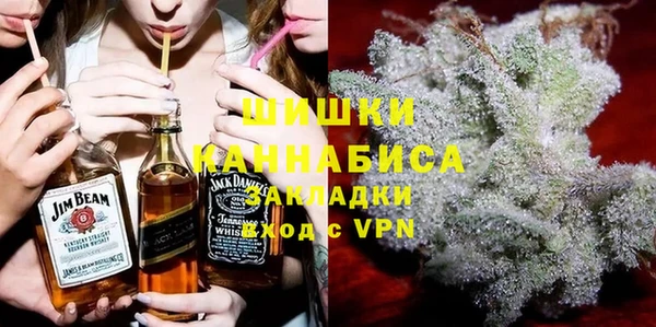 шишки Кодинск