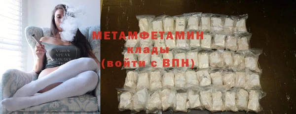 шишки Кодинск