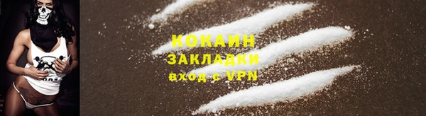 шишки Кодинск