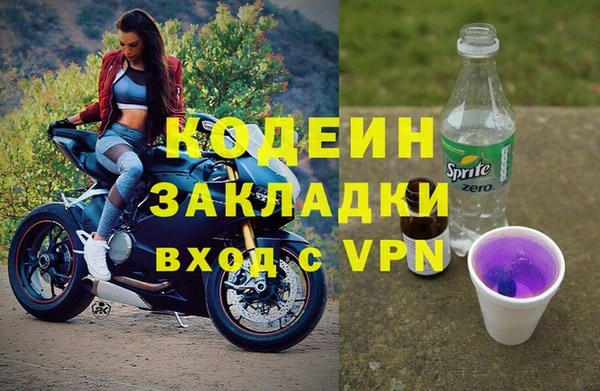 шишки Кодинск